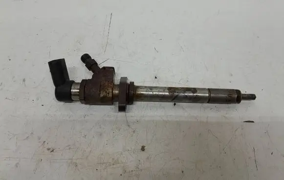 Citroen C4 Grand Picasso Fuel injector 9658194180 030009