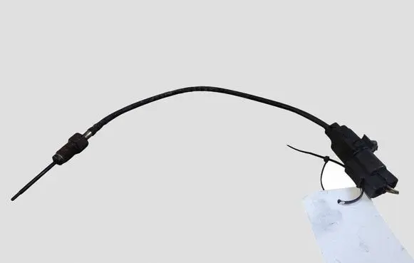 Hyundai Santa Fe Exhaust gas temperature sensor