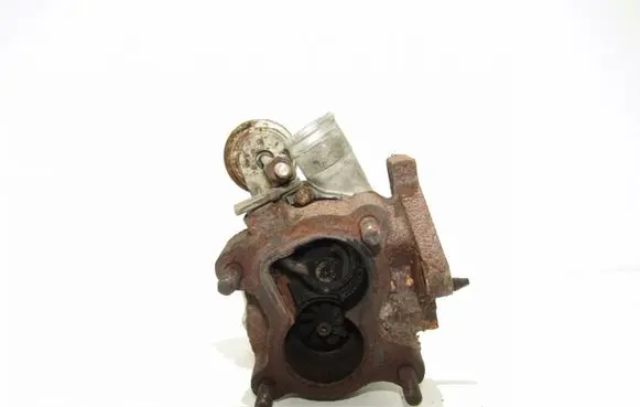 Renault Kangoo I Turbo 54359710000