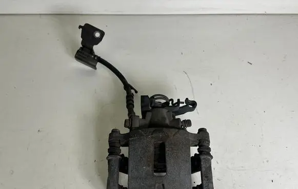Ford Mustang V Rear brake caliper