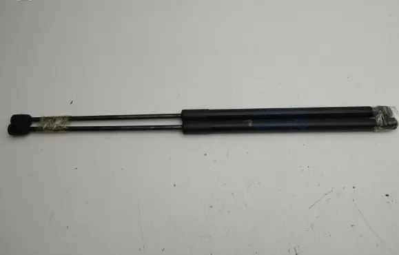 Tailgate strut