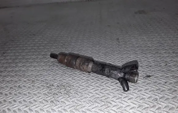 Volkswagen Sharan Fuel injector 028130201T