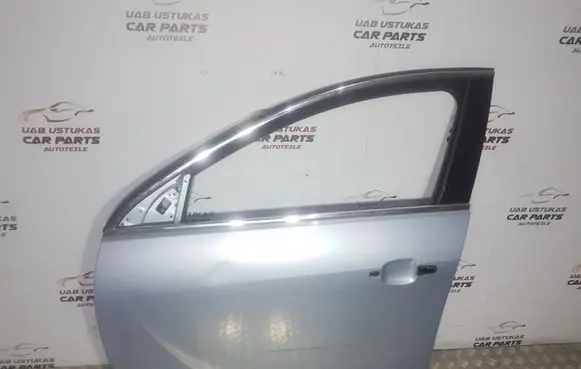 Opel Insignia A Front door