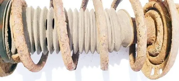Opel Vectra C Front coil spring 