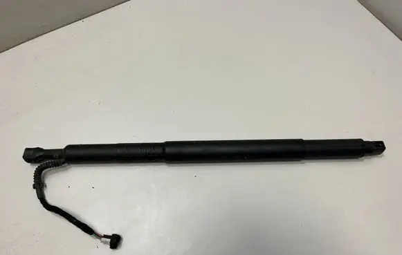 Tailgate/trunk strut/damper