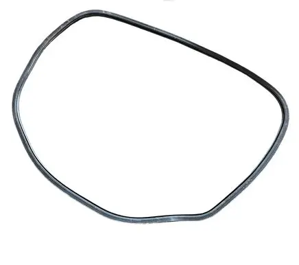 Rear door rubber seal (on body)