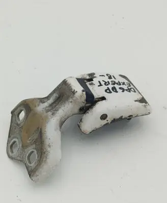 Rear door lower hinge