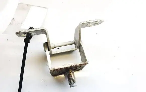 Tailgate/trunk/boot hinge