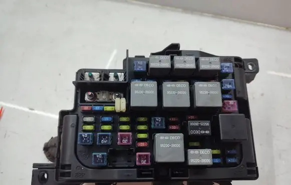 KIA Carens II Fuse module