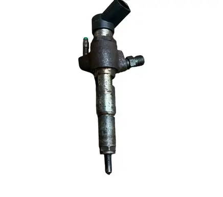 Citroen C3 Fuel injector 50274V05 9674973080