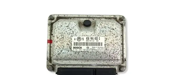 Volkswagen Golf IV Engine control unit/module 036906032G 0261207190