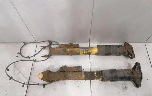 Jeep Grand Cherokee Rear shock absorber with coil spring 05181549AC