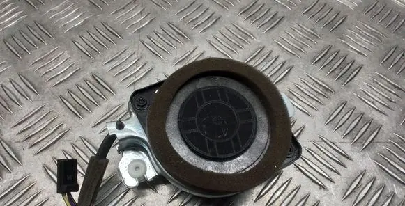 Front door speaker
