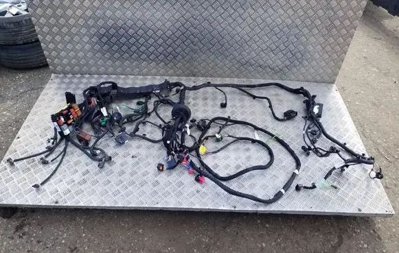 Other wiring loom