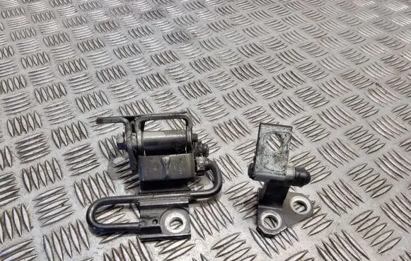 Volkswagen PASSAT B7 Rear door hinge set 3c4833401d