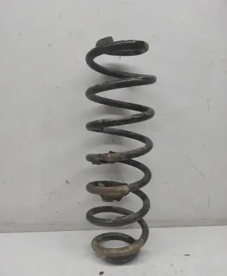 Rear coil spring
