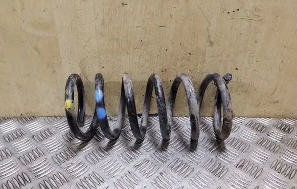 Rear coil spring