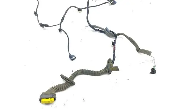 Renault Scenic IV - Grand scenic IV Rear door wiring loom 841277439R