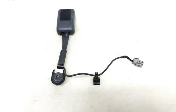 Tesla Model 3 Front seatbelt buckle 109032301D ARP211033016050