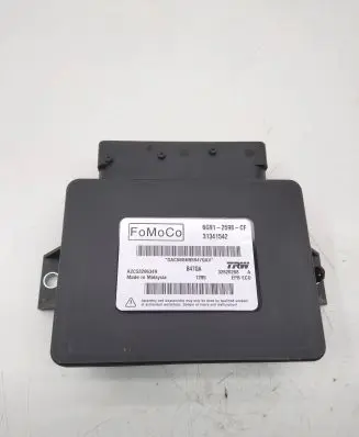 Volvo XC60 Other control units/modules 31341542