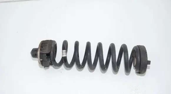 BMW 3 G20 G21 Rear coil spring 6898641 33536898641