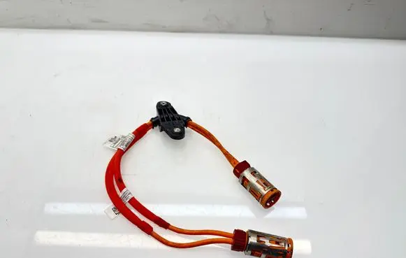BMW iX Other wiring loom 767001106AX 2BHVKB 767001106A