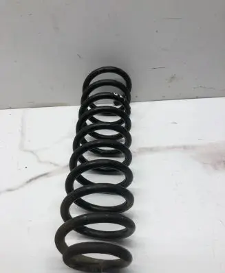 Volkswagen PASSAT B5.5 Rear coil spring