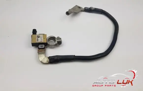 BMW X1 F48 F49 Alarm system siren 