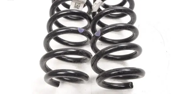 Mini Aceman Rear coil spring 2912500XNY03A