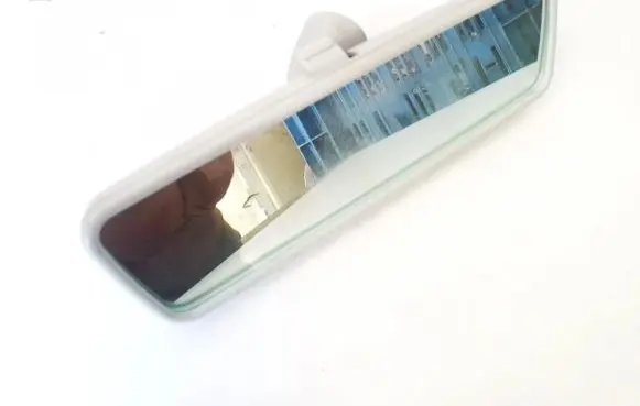 Skoda Praktik (5J8) Rear view mirror (interior) e9014022
