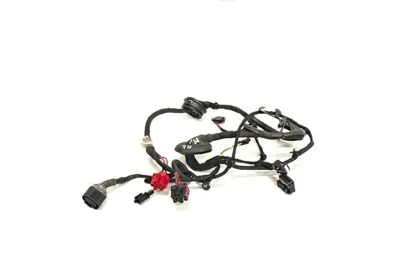 Volkswagen Phaeton Front door wiring loom 3D1971121