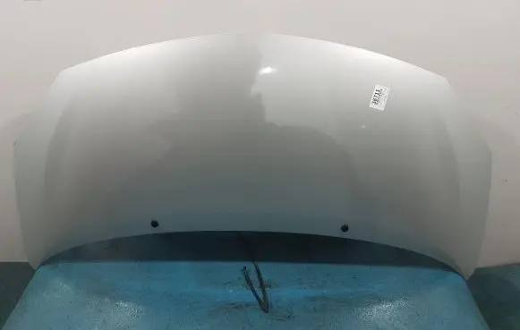 Renault Twingo II Engine bonnet/hood TED69
