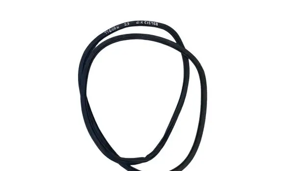 Volkswagen Tiguan Allspace Rear door rubber seal (on body) 