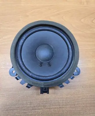 Rear door speaker