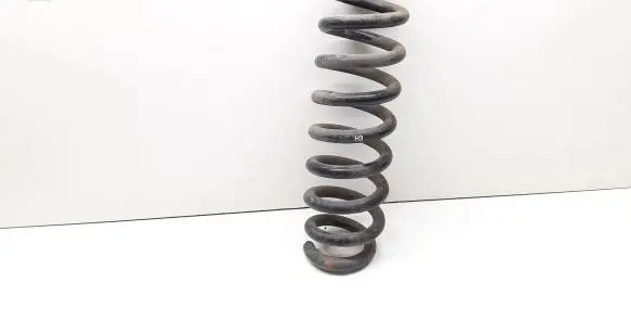 BMW X1 E84 Rear coil spring