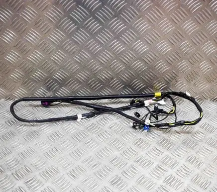 Tesla Model 3 Other wiring loom 106878700D