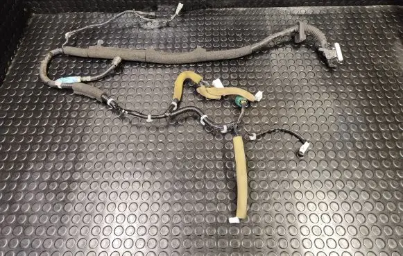 Nissan Leaf I (ZE0) Front door wiring loom 241253ND0A