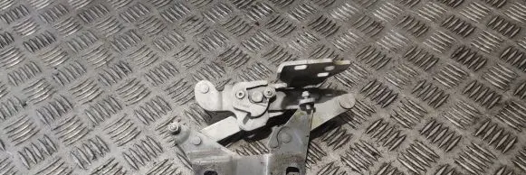 Tailgate/trunk/boot hinge