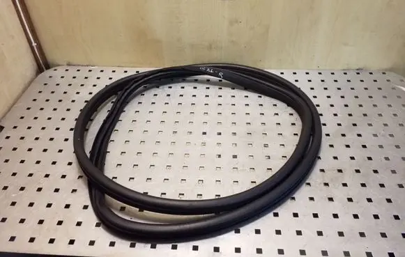 Honda Accord Rear door rubber seal (on body) 