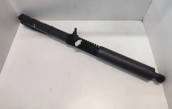 BMW X3 G01 Tailgate/trunk strut/damper 51249482795