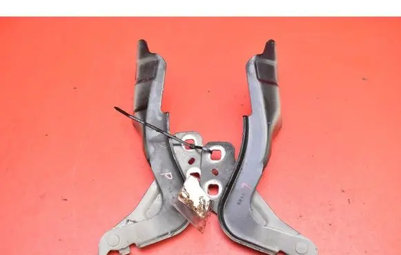 Engine bonnet/hood hinges