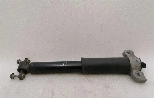 Ford Mustang VI Rear shock absorber with coil spring FR3C18W002