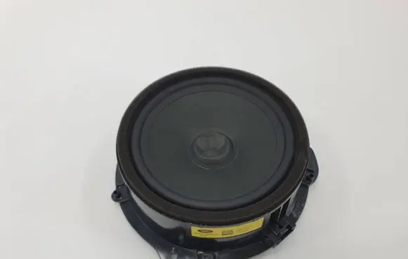 Jaguar F-Pace Rear door speaker GX7318808CD