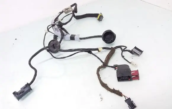 Front door wiring loom