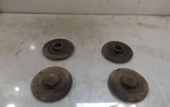 Rear coil spring