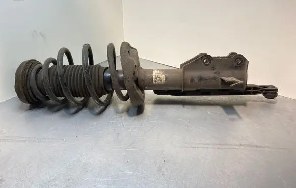 Opel Insignia A Front shock absorber/damper 13245966