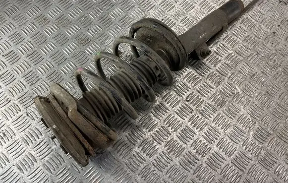 Peugeot 607 Front shock absorber with coil spring