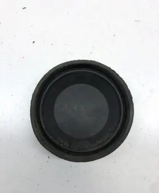 Volkswagen PASSAT B6 Headlight/headlamp dust cover 147969