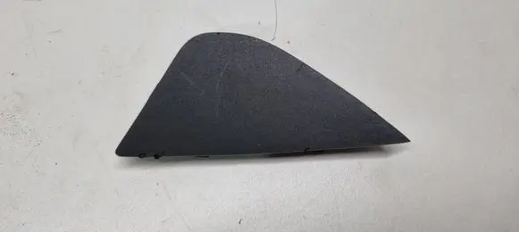Other rear door trim element