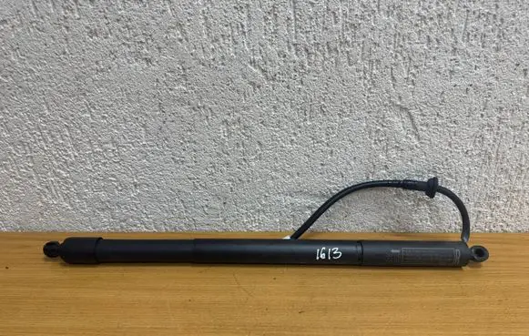 Lexus NX Tailgate/trunk strut/damper 6891078032